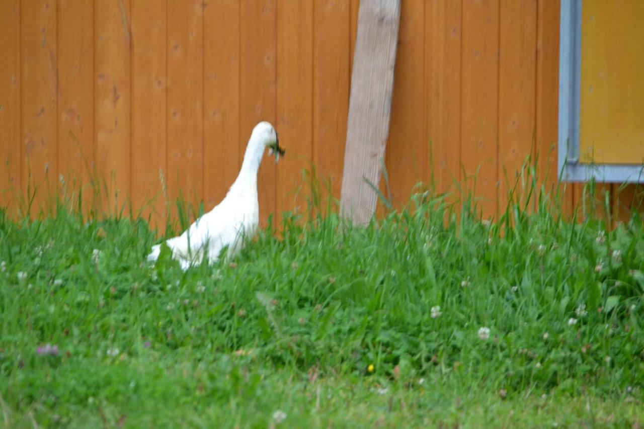 Oberrainbauer * Kleinarl